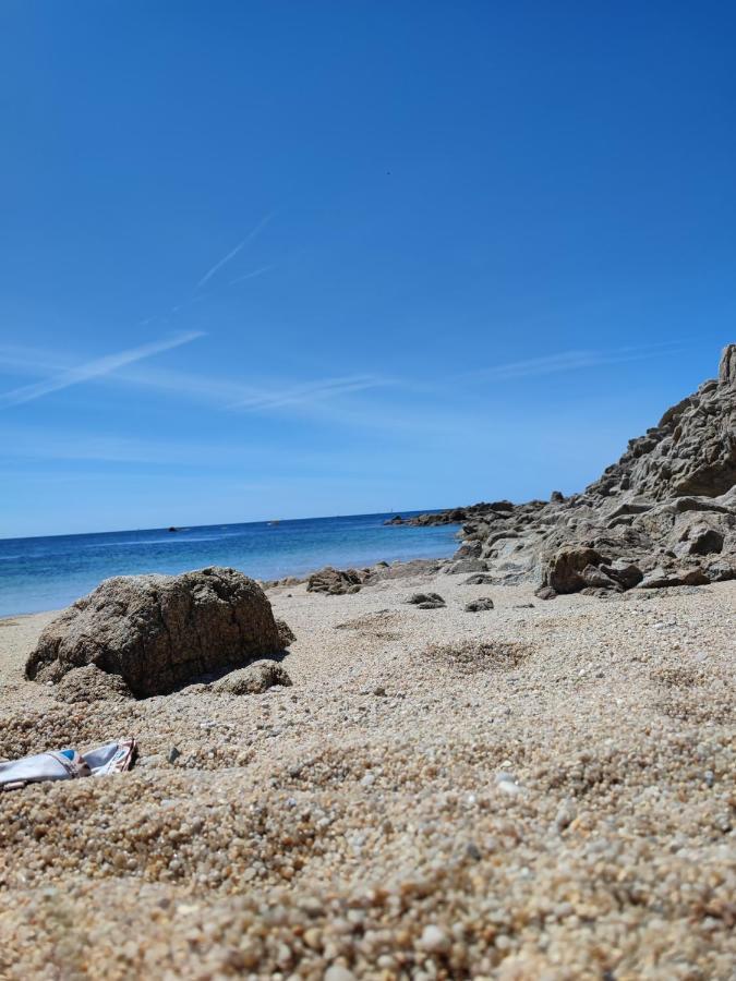 Le 3 Appartement Vue Mer Avec Jardin 100M De La Plage Et De La Thalasso Concarneau Exterior foto